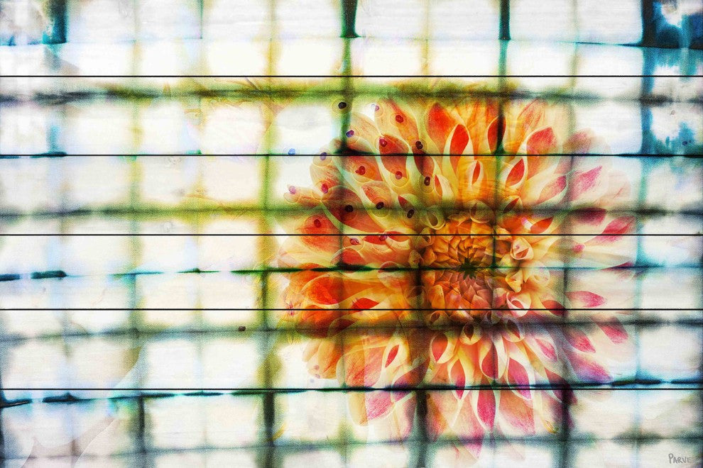 "Peacock" UV Ink Print on White Wood, 45"x30"