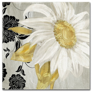 Color Bakery 'Sunroom II' Canvas Art, 24"x24"