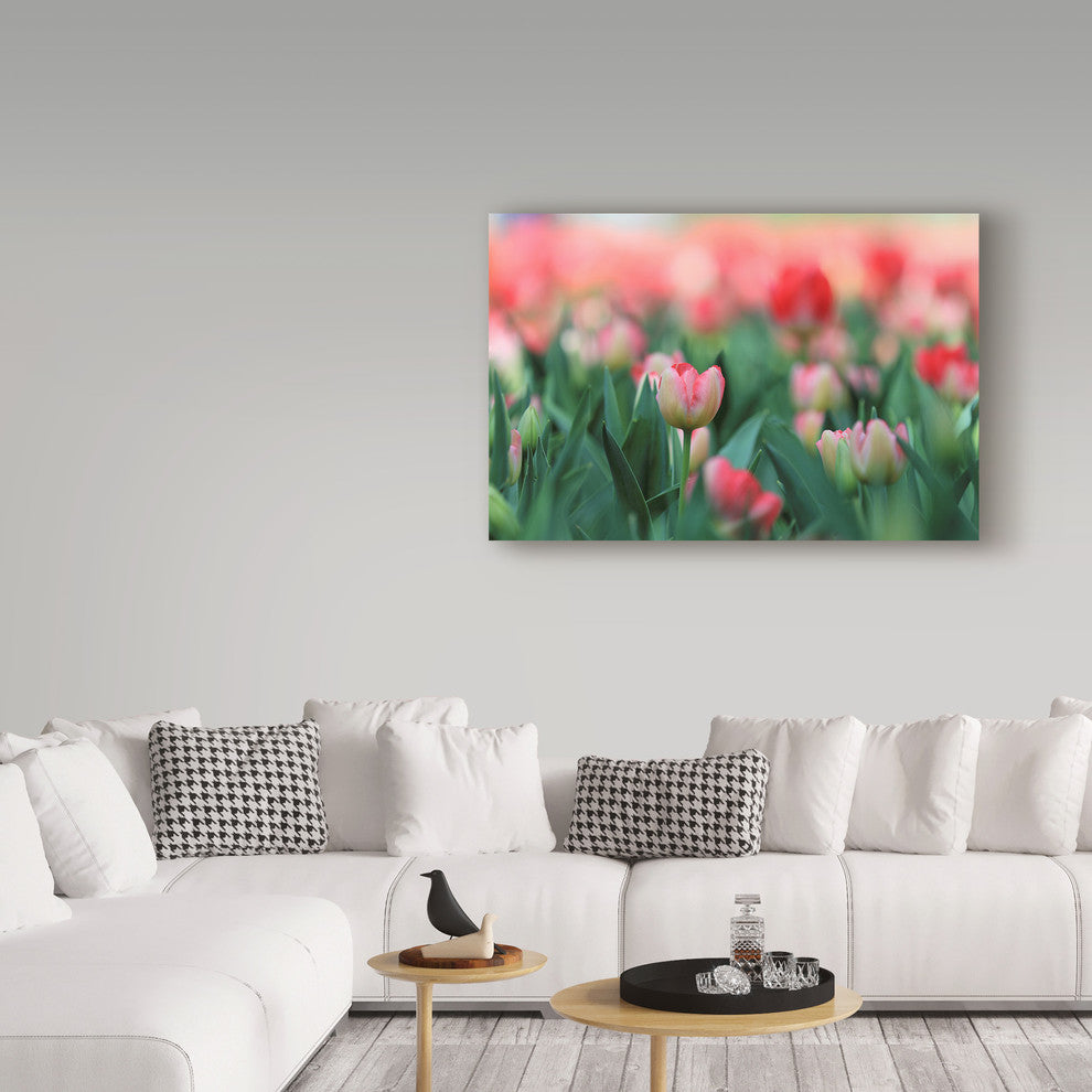 Incredi 'Pink Tulips' Canvas Art, 19"x12"