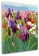 "Early June" By Shirley Novak,Ready to Hang Giclee Print on Gallery Wrap Canvas