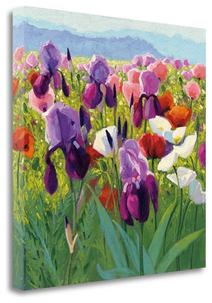 "Early June" By Shirley Novak,Ready to Hang Giclee Print on Gallery Wrap Canvas