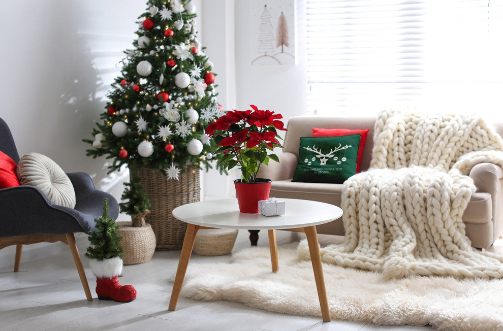 Cool Christmas Deer Accent Pillow, Forest Green, 26"x26"