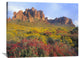 "Chuparosa And Brittlebush Superstition Mountains, Arizona" Artwork, 40" x 30"