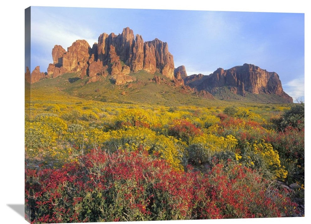 "Chuparosa And Brittlebush Superstition Mountains, Arizona" Artwork, 40" x 30"