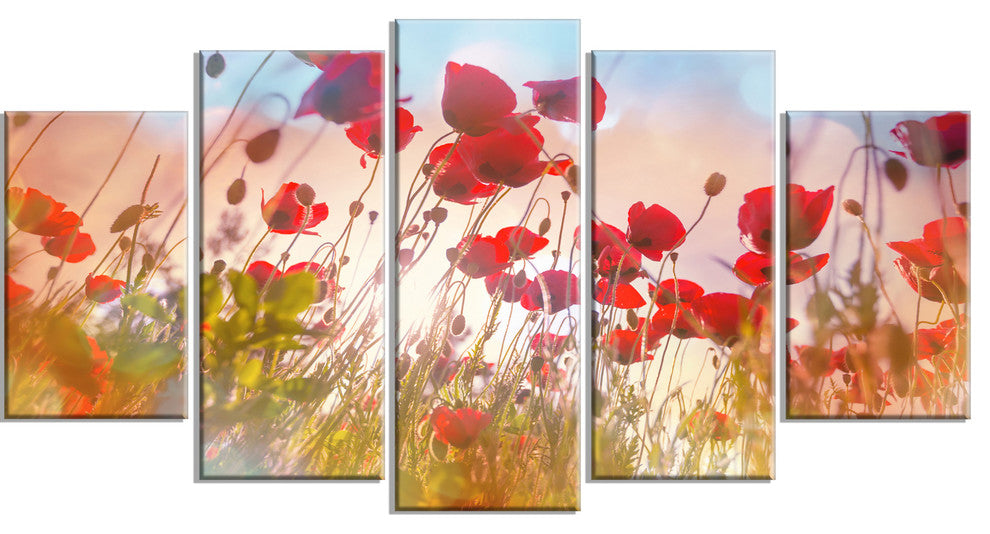 Cute Poppy Flowers in Sunlight, Floral Canvas Art Print, 60"x32", 5 Panels