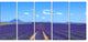 "Lavender Blooming Fields and Trees" Landscape Wall Art Print, 5 Panels, 60"x28"