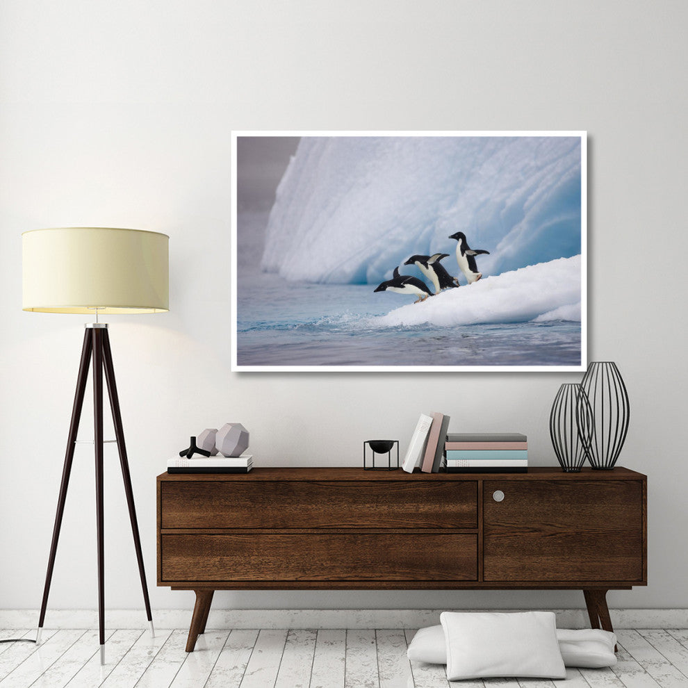 "Adelie Penguin trio diving off iceberg, Paulet Island" Paper Art, 62"x42"