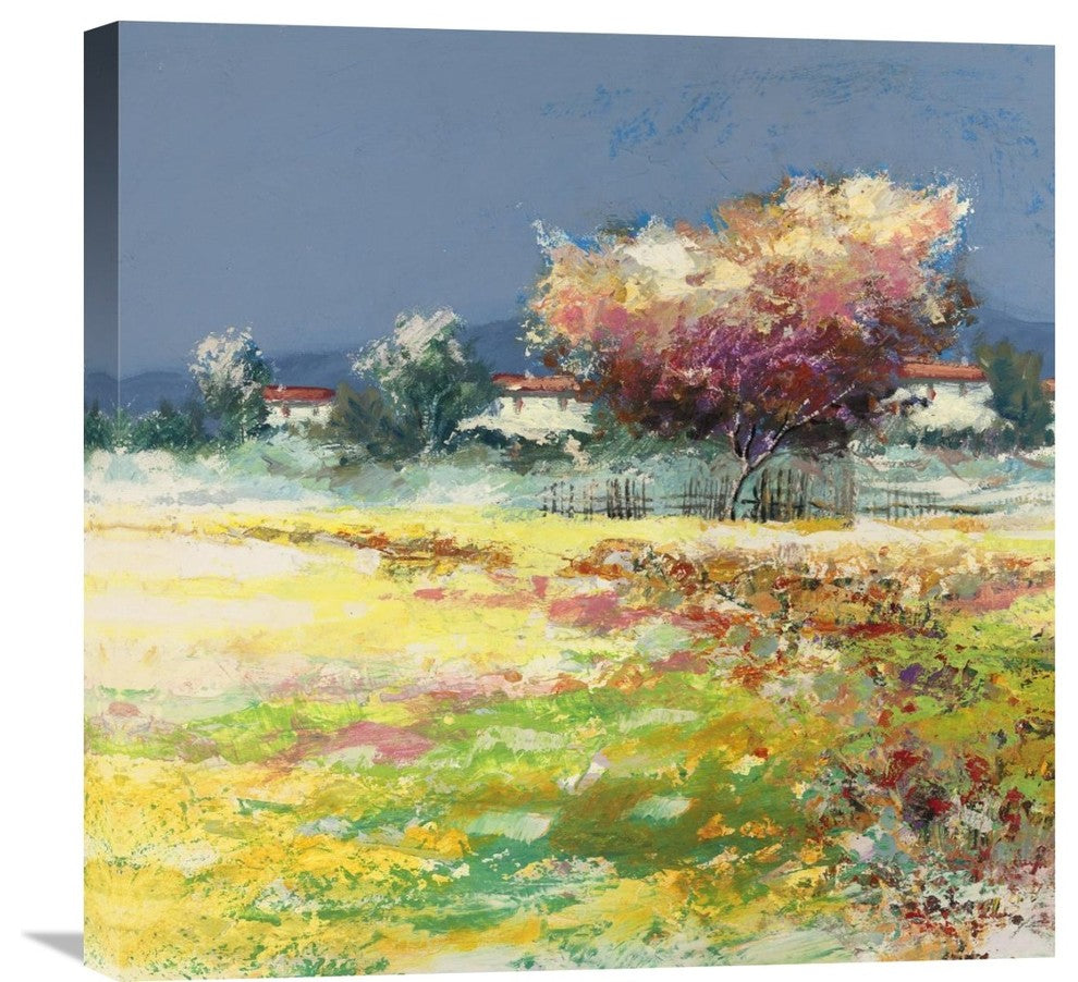 Albero Nel Prato, 24"x24"