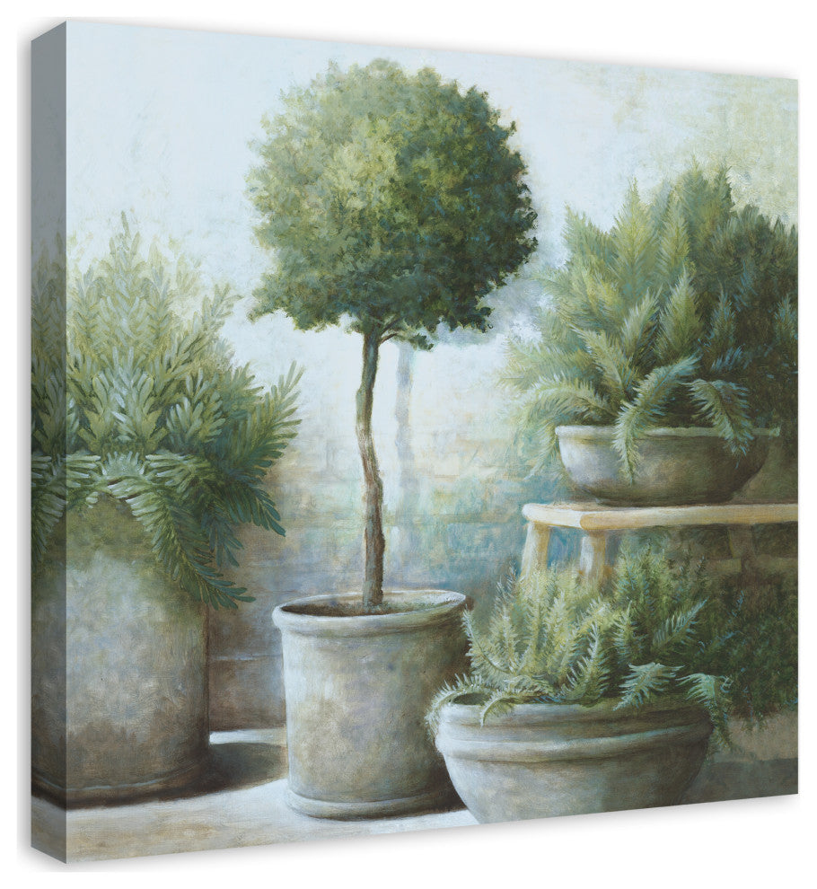 Potted Greenery 24x24 Canvas Wall Art