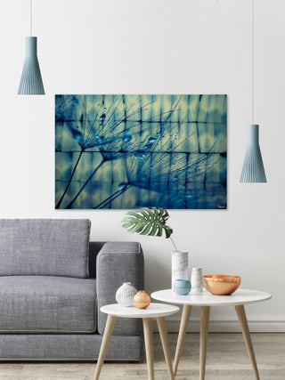 "Dandelion Dew" Fine Art Canvas Print, 18"x12"
