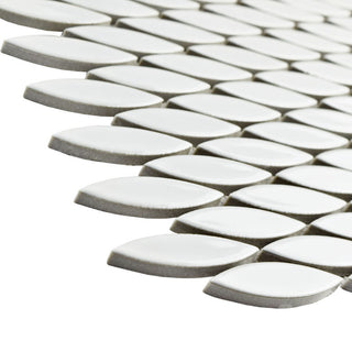 Pescado Glossy Ceramic Mosaic Floor and Wall Tile, Glossy Blanco