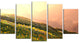 Flowering Mountain Meadow View, Landscape Canvas Art, 60"x32", 5 Panels
