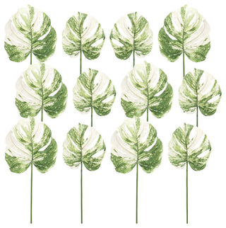 Philo Leaf, 12-Piece Set