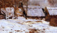 Maxime Maufra Cottages in the Snow Wall Decal