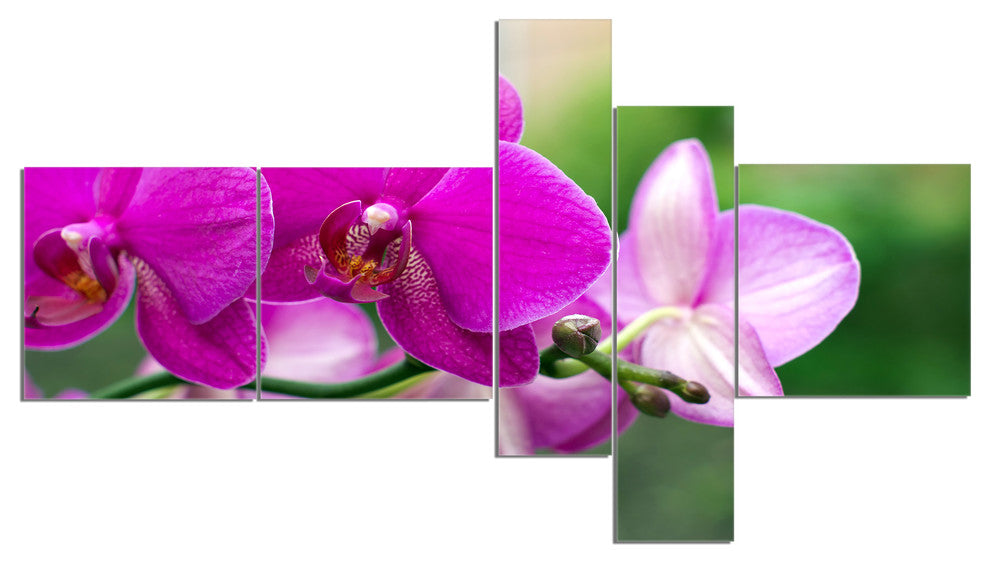 Beautiful Orchid Flowers on Green, Floral Canvas Print, 60"x32", 5 panels