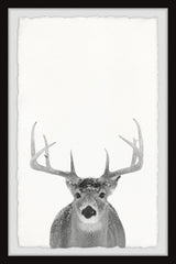 "Grey Deer" Framed Painting Print, 12x18
