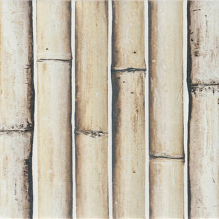 Bamboo Haven Sandy White Ceramic Wall Tile Sample