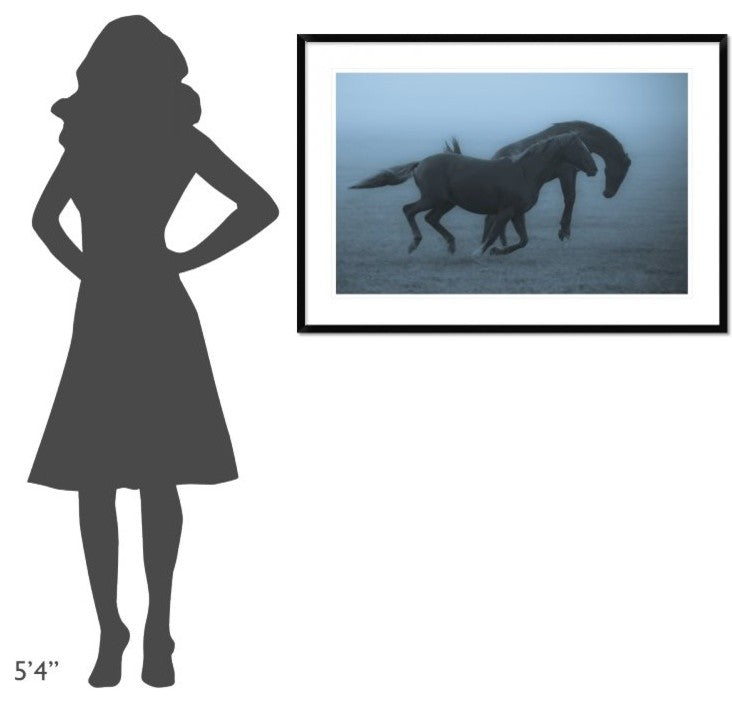 "Horses In The Fog" Framed Digital Print by Allan Wallberg, 44x30"