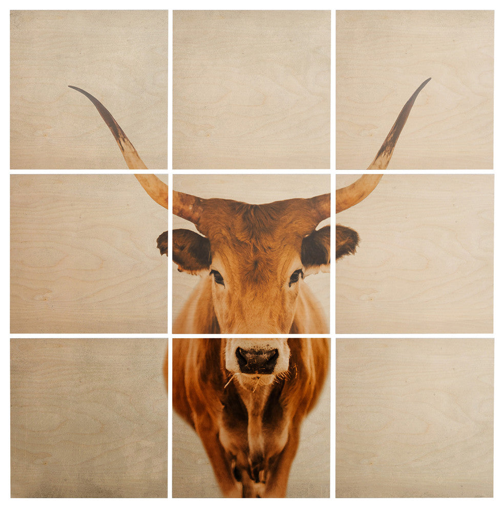 Deny Designs Ingrid Beddoes Mel Wood Wall Mural, 3'x3'