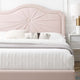 Platform Bed Frame, Queen Size, Velvet, Pink, Modern Contemporary, Bedroom