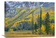 "Aspen Grove In Fall, Maroon Bells, Snowmass Wilderness, Colorado" Artwork