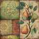 Tile Mural Kitchen Backsplash Les Poires I-CB by Color Bakery