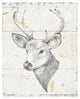 "Wild and Beautiful II" Digital Paper Print by Daphne Brissonnet, 22"x26"