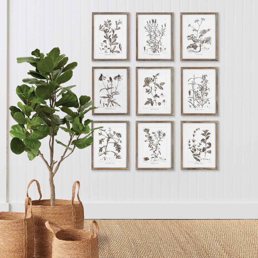 Set of 9 Rustic Sepia White Botanical Leaf Prints Framed Brown 13 in Large Group