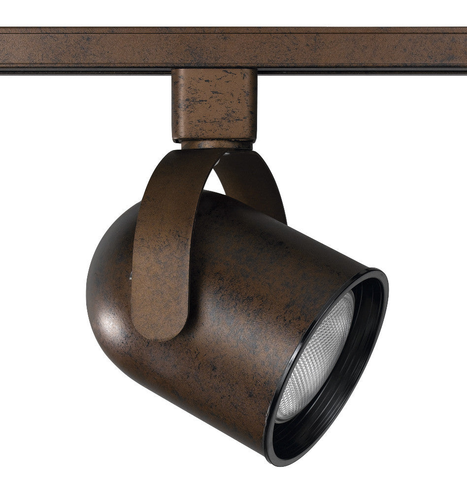 Line Voltage Fixture, Dark Bronze Finish