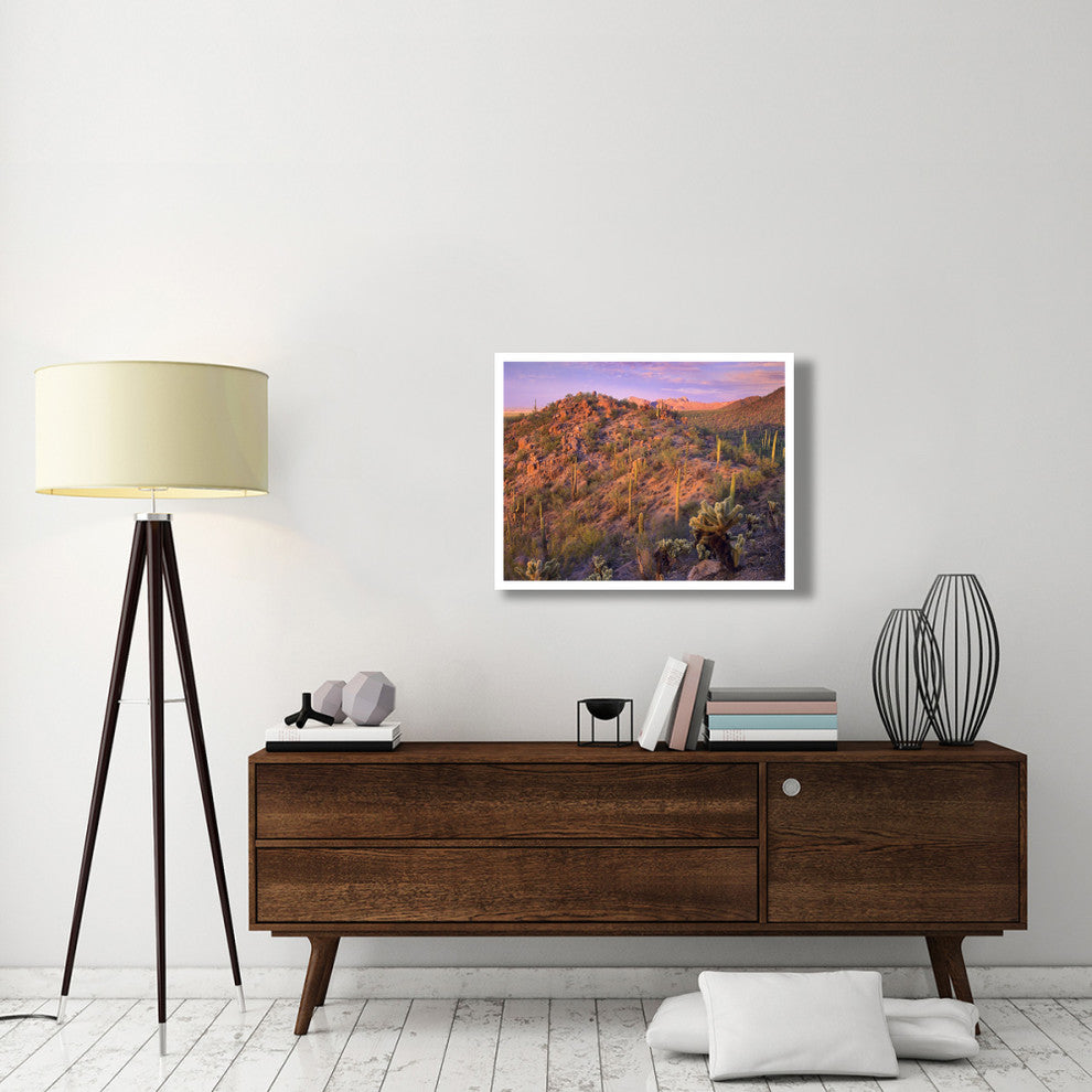 "Panther, Safford Peaks covered, Saguaro, Teddybear Cholla" Paper Art, 34"x26"