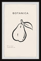 "Botanica Pears" Framed Painting Print, 16x24