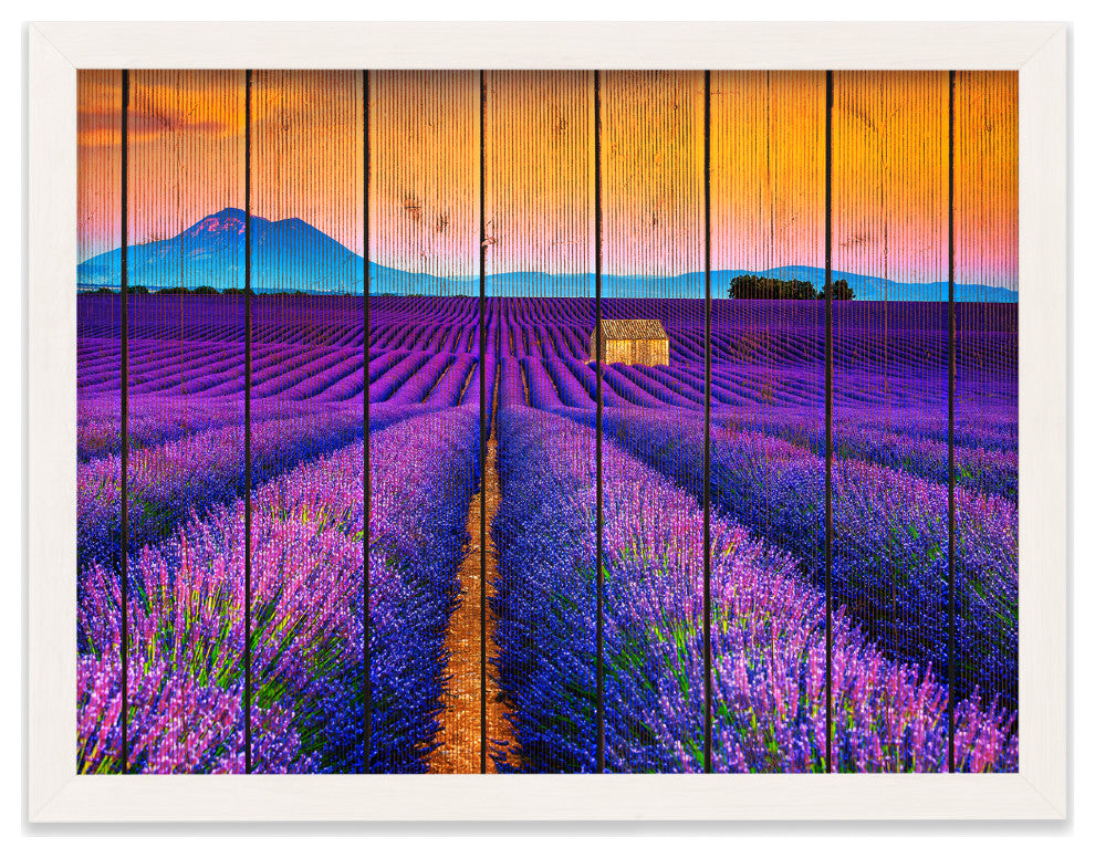 Faux Wood Lavender Fields and Sunset Landscape Framed Photo Paper Wall Art Print, White, 12" X 16"