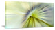"Rays of Speed Green Purple" Abstract Digital Canvas Print