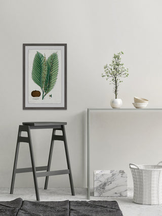 "Flore des Environs de Paris" Framed Painting Print, 24"x36"