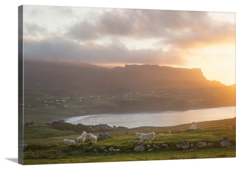 "sunset on skye island grasslands, scotland" Wrapped Canvas Art Print, 48"x32...