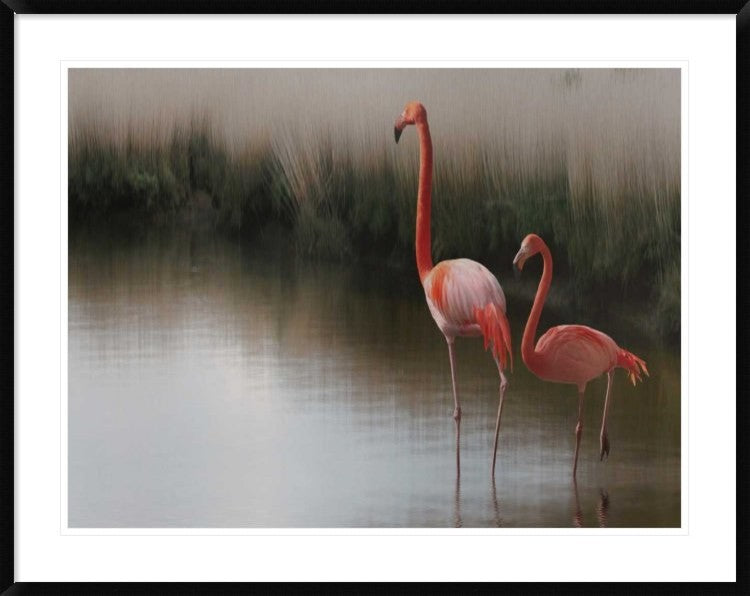 "Untitled" Framed Digital Print by Anna Cseresnjes, 44x35"