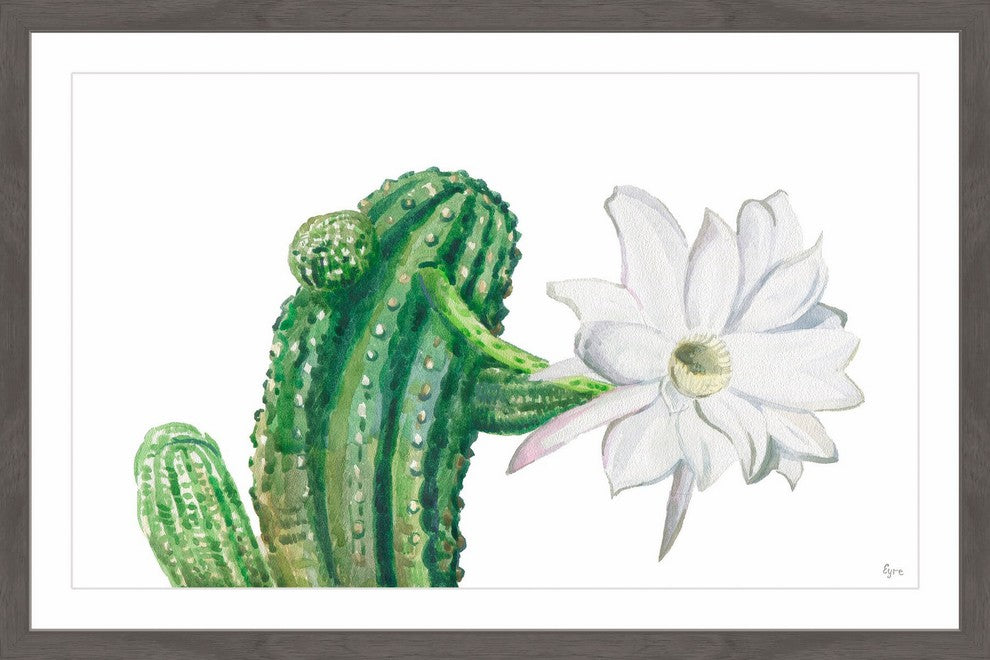 "Trichocereus" Framed Painting Print, 36"x24"