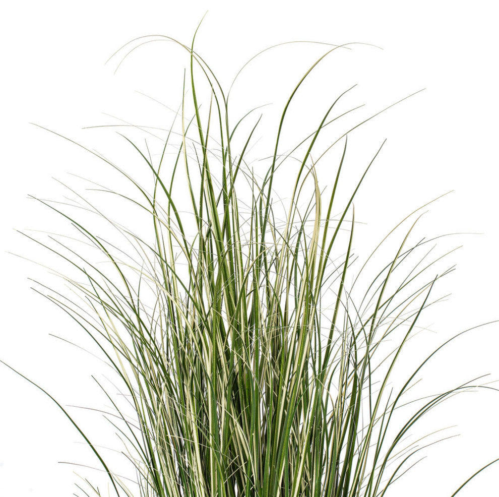 48" Native Green Grass In Iron Pot