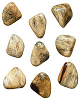 Uttermost Pebbles Blonde Wood Wall Decor, Set of 9