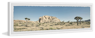 "Beauty Everywhere" Framed Painting Print, 45x15