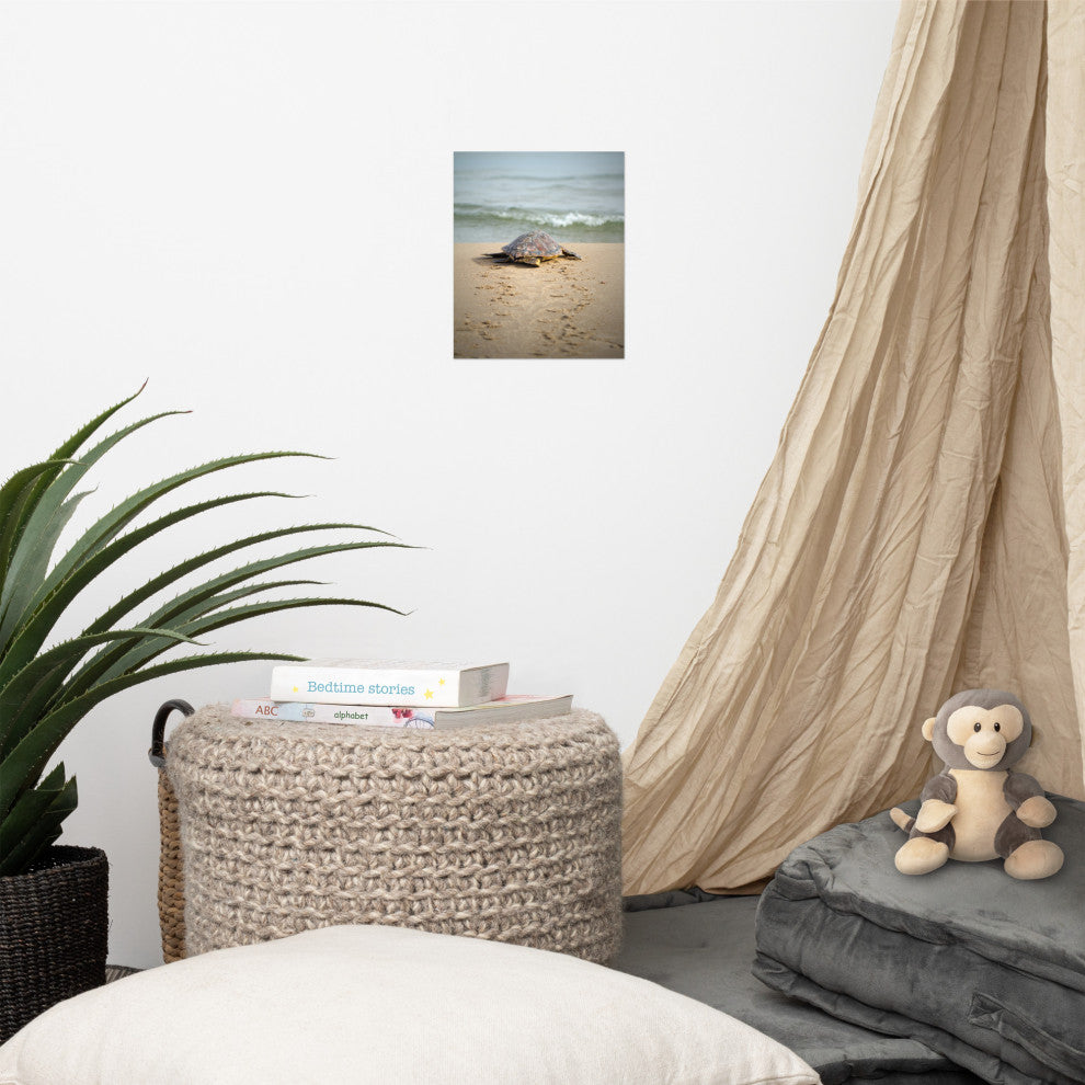 Baby Loggerhead Sea Turtle Beach Ocean Photograph Loose Wall Art Print, 8" X 10"