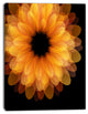 Fractal Flower Petals on Black, Floral Canvas Art Print, 12"x20"