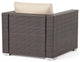 Avianna Outdoor Wicker Club Chair With Cushions, Multibrown/Beige