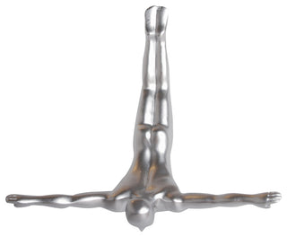 Wall Diver Wall Art, Silver
