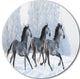 Herd Of Horses Run Across Snow, Landscape Round Metal Wall Art, 23"
