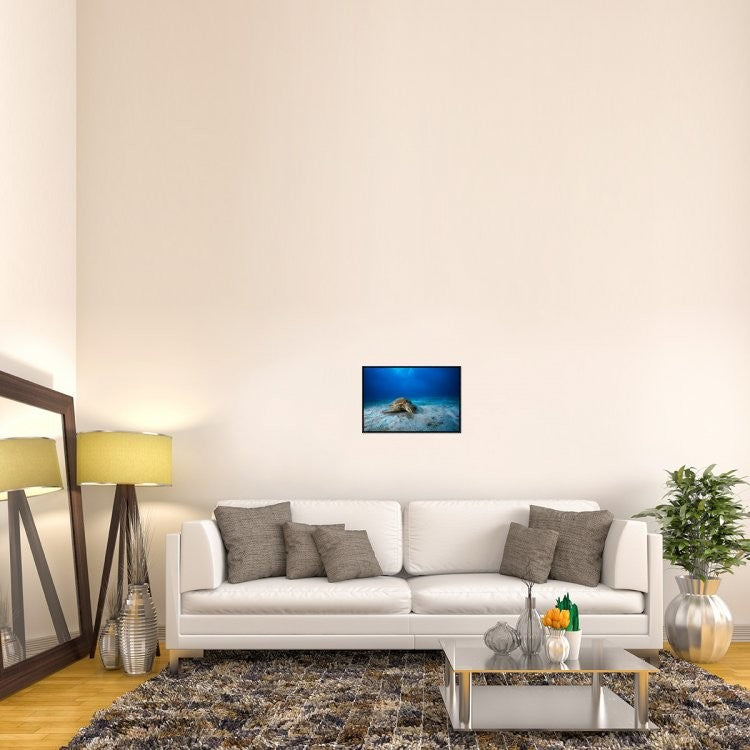 "Green Turtle In The Blue" Framed Canvas Giclee by Barathieu Gabriel, 23x16"
