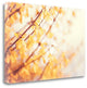 "In The Beginning" By Carolyn Cochrane, Giclee Print on Gallery Wrap Canvas