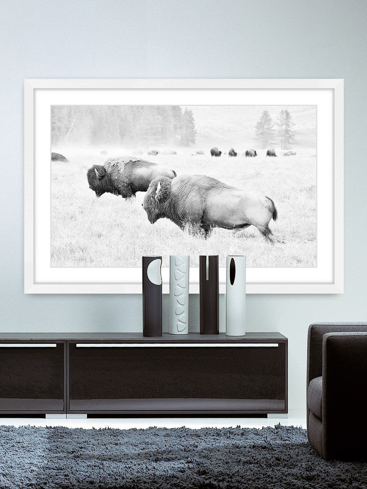 Marmont Hill, "Buffalos Two" Framed Painting Print, 18x12