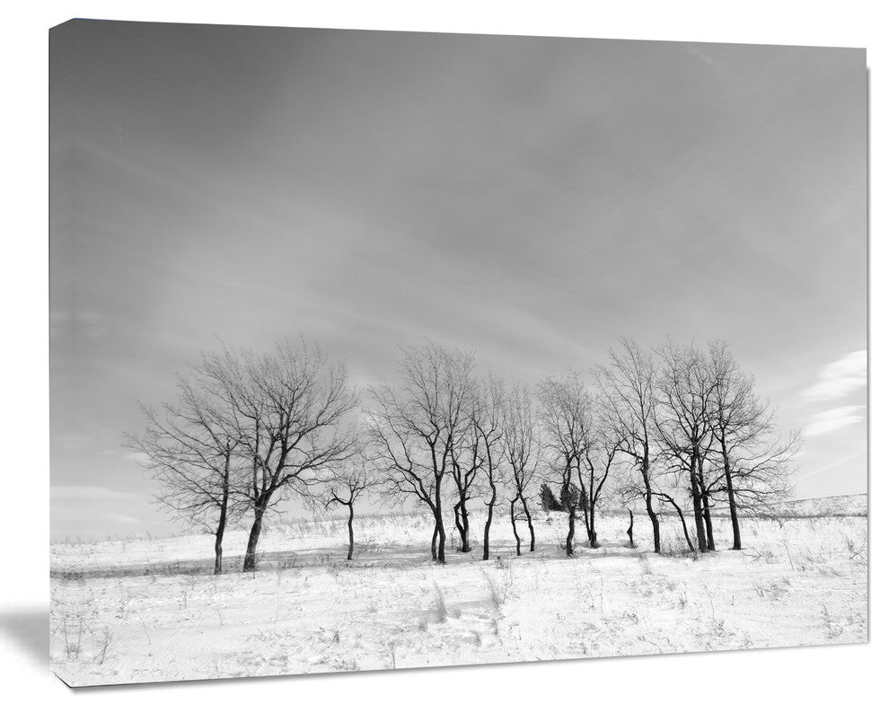Black and White Trees in Winter, Landscape Canvas Art Print, 40"x30"