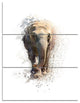 Large Elephant Portrait, Animal Canvas Wall Art, 28x36, 3 Panels